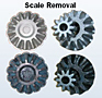 Scale Removal